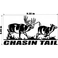 CHASIN TAIL